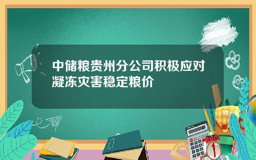 中储粮贵州分公司积极应对凝冻灾害稳定粮价