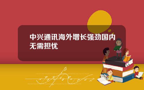 中兴通讯海外增长强劲国内无需担忧