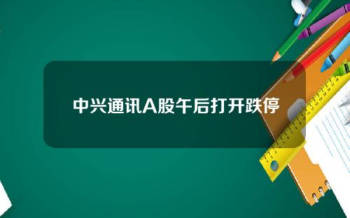 中兴通讯A股午后打开跌停