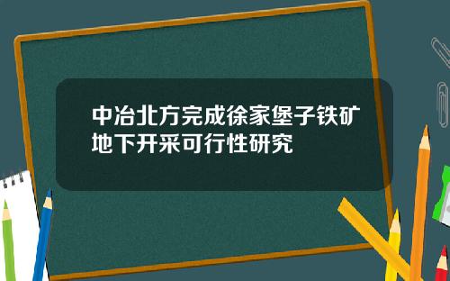 中冶北方完成徐家堡子铁矿地下开采可行性研究
