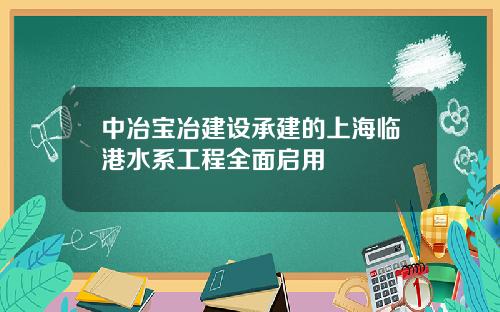 中冶宝冶建设承建的上海临港水系工程全面启用