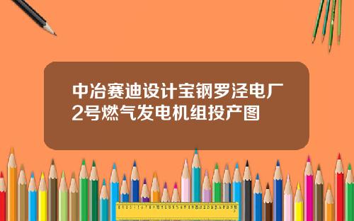 中冶赛迪设计宝钢罗泾电厂2号燃气发电机组投产图
