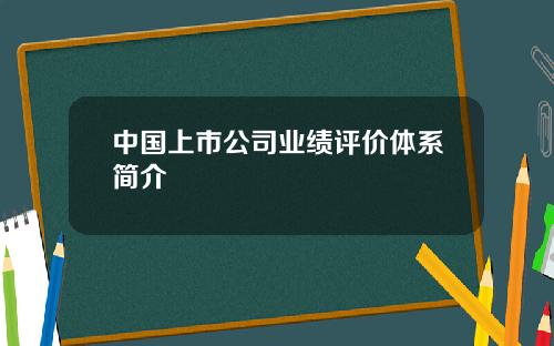 中国上市公司业绩评价体系简介
