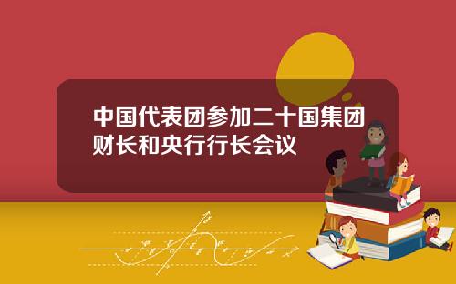 中国代表团参加二十国集团财长和央行行长会议