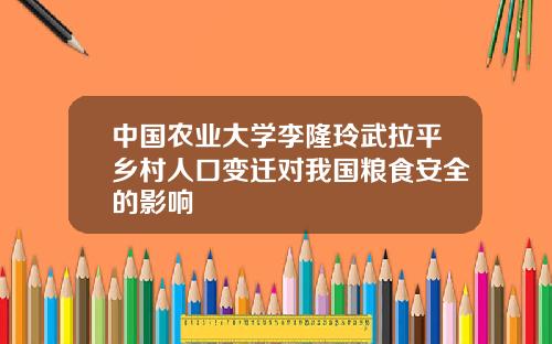 中国农业大学李隆玲武拉平乡村人口变迁对我国粮食安全的影响