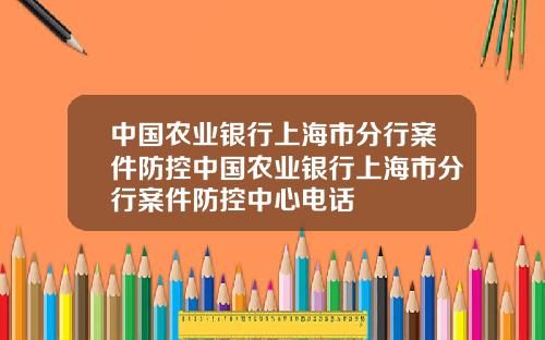 中国农业银行上海市分行案件防控中国农业银行上海市分行案件防控中心电话
