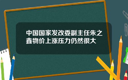 中国国家发改委副主任朱之鑫物价上涨压力仍然很大