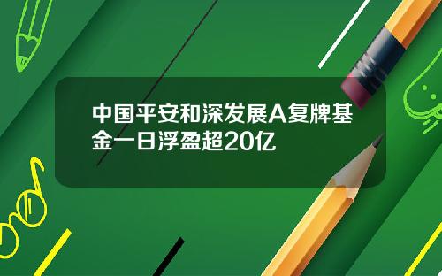 中国平安和深发展A复牌基金一日浮盈超20亿
