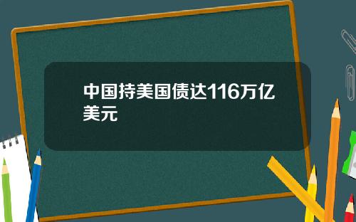 中国持美国债达116万亿美元