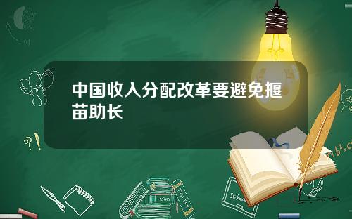 中国收入分配改革要避免揠苗助长