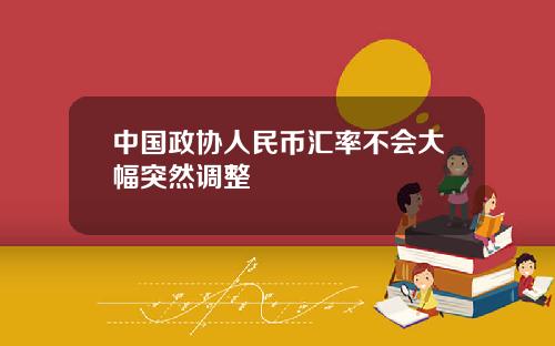 中国政协人民币汇率不会大幅突然调整