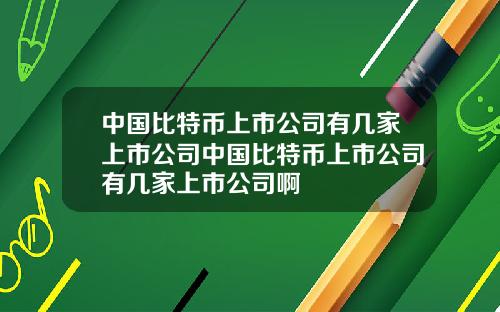 中国比特币上市公司有几家上市公司中国比特币上市公司有几家上市公司啊