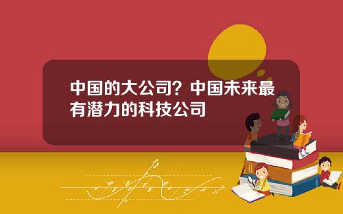 中国的大公司？中国未来最有潜力的科技公司