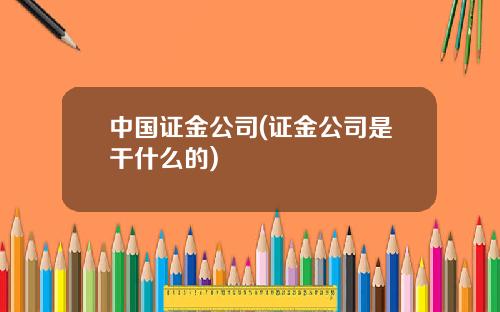 中国证金公司(证金公司是干什么的)