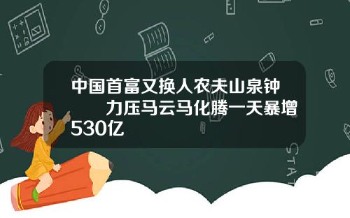 中国首富又换人农夫山泉钟睒睒力压马云马化腾一天暴增530亿