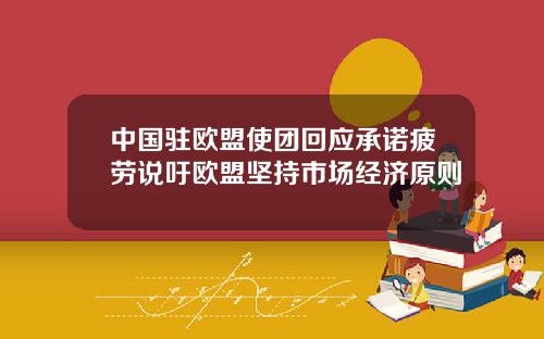 中国驻欧盟使团回应承诺疲劳说吁欧盟坚持市场经济原则