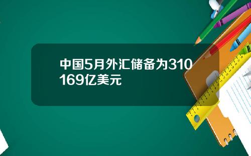 中国5月外汇储备为310169亿美元