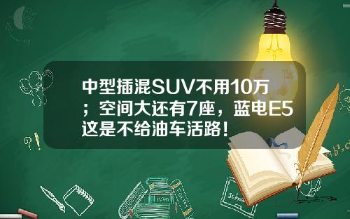 中型插混SUV不用10万；空间大还有7座，蓝电E5这是不给油车活路！
