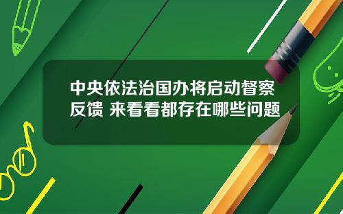 中央依法治国办将启动督察反馈 来看看都存在哪些问题