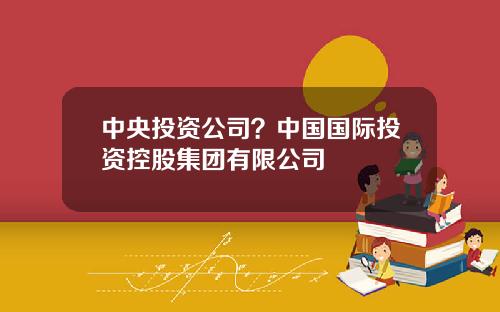 中央投资公司？中国国际投资控股集团有限公司
