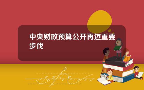 中央财政预算公开再迈重要步伐