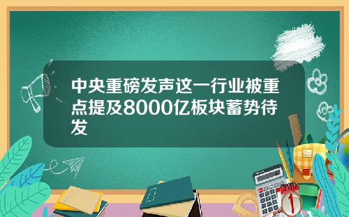 中央重磅发声这一行业被重点提及8000亿板块蓄势待发