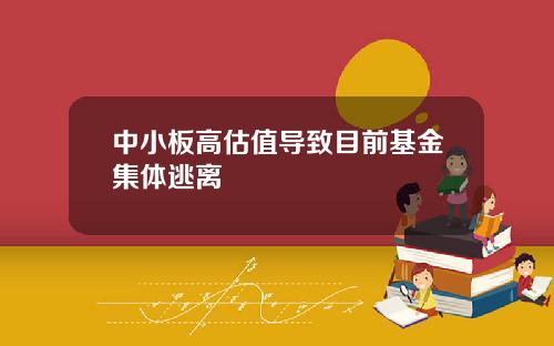 中小板高估值导致目前基金集体逃离