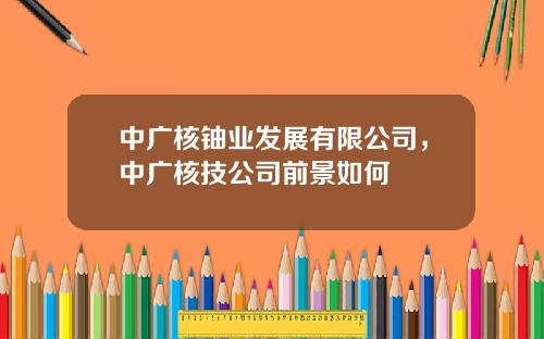 中广核铀业发展有限公司，中广核技公司前景如何
