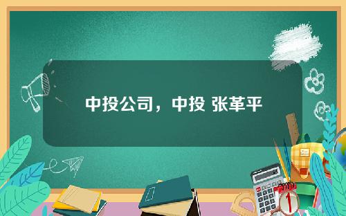中投公司，中投 张革平