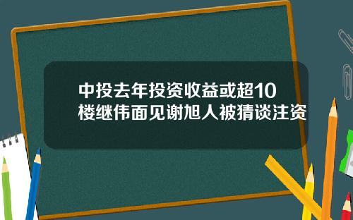 中投去年投资收益或超10楼继伟面见谢旭人被猜谈注资