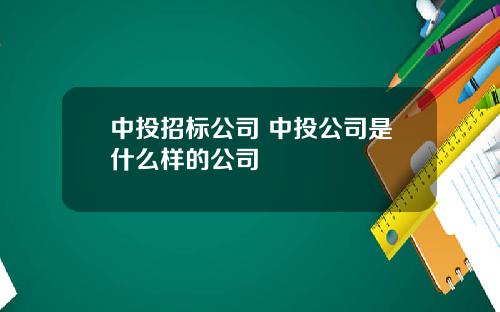 中投招标公司 中投公司是什么样的公司