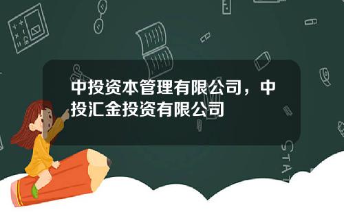 中投资本管理有限公司，中投汇金投资有限公司