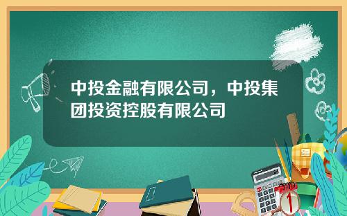 中投金融有限公司，中投集团投资控股有限公司