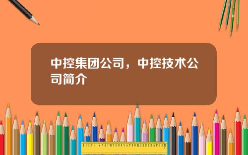 中控集团公司，中控技术公司简介