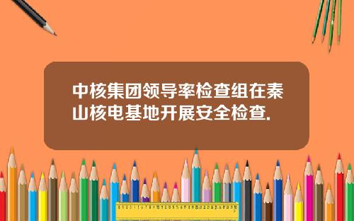 中核集团领导率检查组在秦山核电基地开展安全检查.