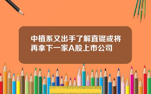 中植系又出手了解直锟或将再拿下一家A股上市公司