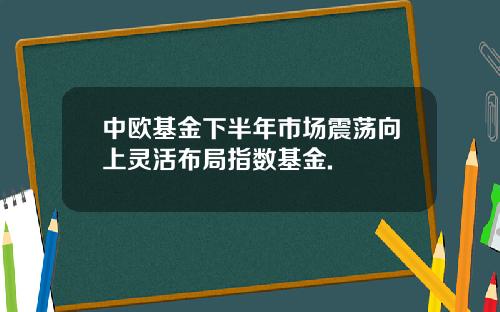 中欧基金下半年市场震荡向上灵活布局指数基金.