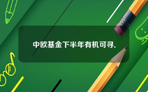 中欧基金下半年有机可寻.