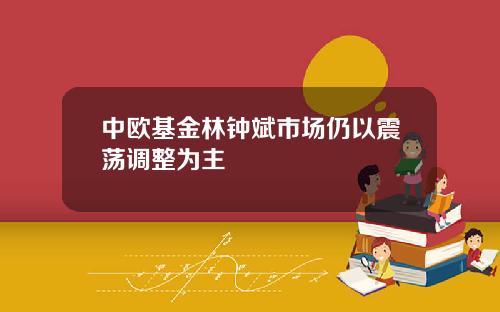 中欧基金林钟斌市场仍以震荡调整为主