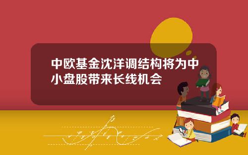 中欧基金沈洋调结构将为中小盘股带来长线机会