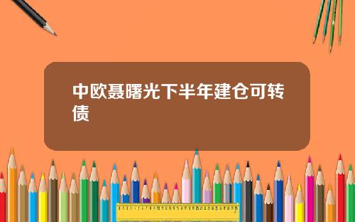 中欧聂曙光下半年建仓可转债