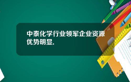 中泰化学行业领军企业资源优势明显.