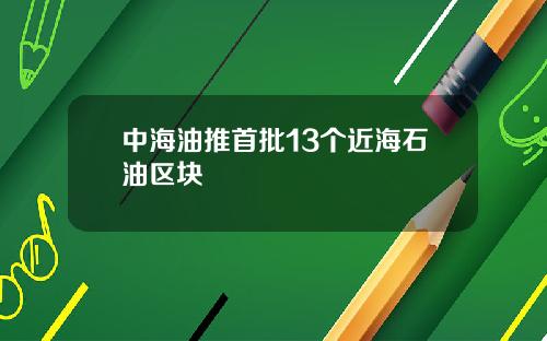 中海油推首批13个近海石油区块