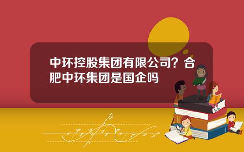 中环控股集团有限公司？合肥中环集团是国企吗