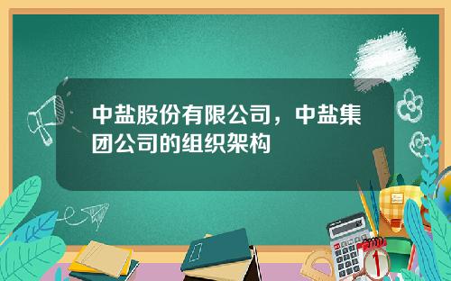 中盐股份有限公司，中盐集团公司的组织架构