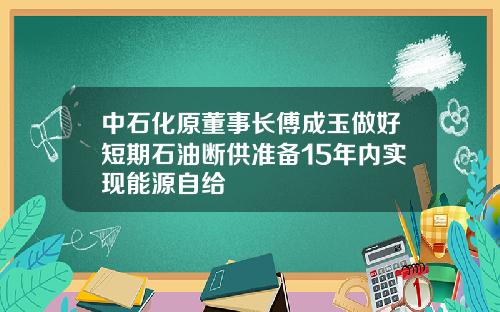 中石化原董事长傅成玉做好短期石油断供准备15年内实现能源自给