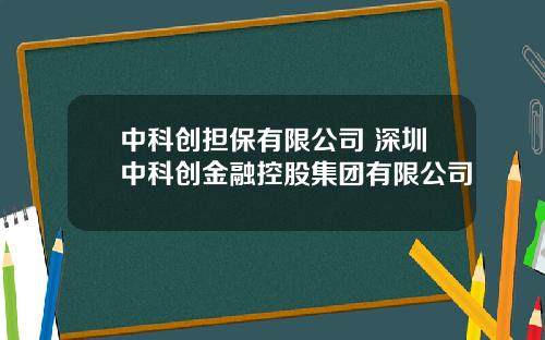 中科创担保有限公司 深圳中科创金融控股集团有限公司