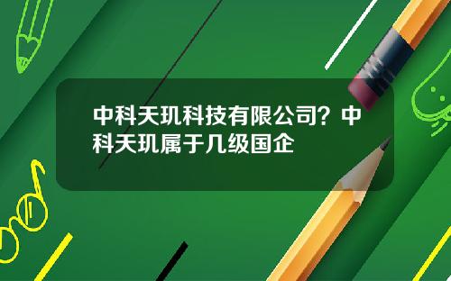 中科天玑科技有限公司？中科天玑属于几级国企