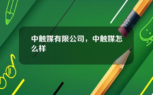 中触媒有限公司，中触媒怎么样