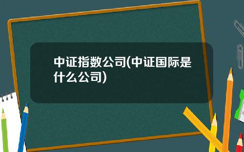 中证指数公司(中证国际是什么公司)